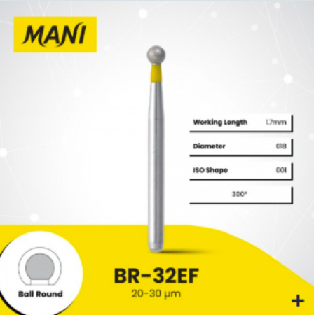 Mani Dia Bur Round Medium BR-32EF
