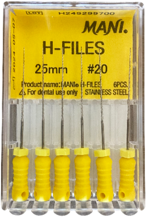 H-Files 25mm #20
