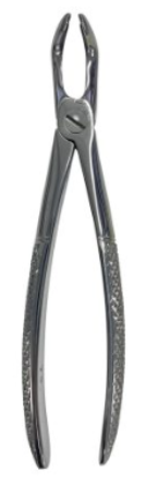Extraction Forceps #79