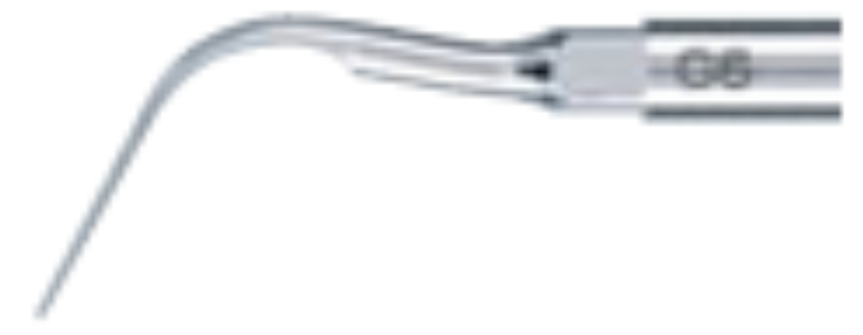 NSK G6 Scaling Tip
