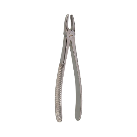 Extraction Forceps #2