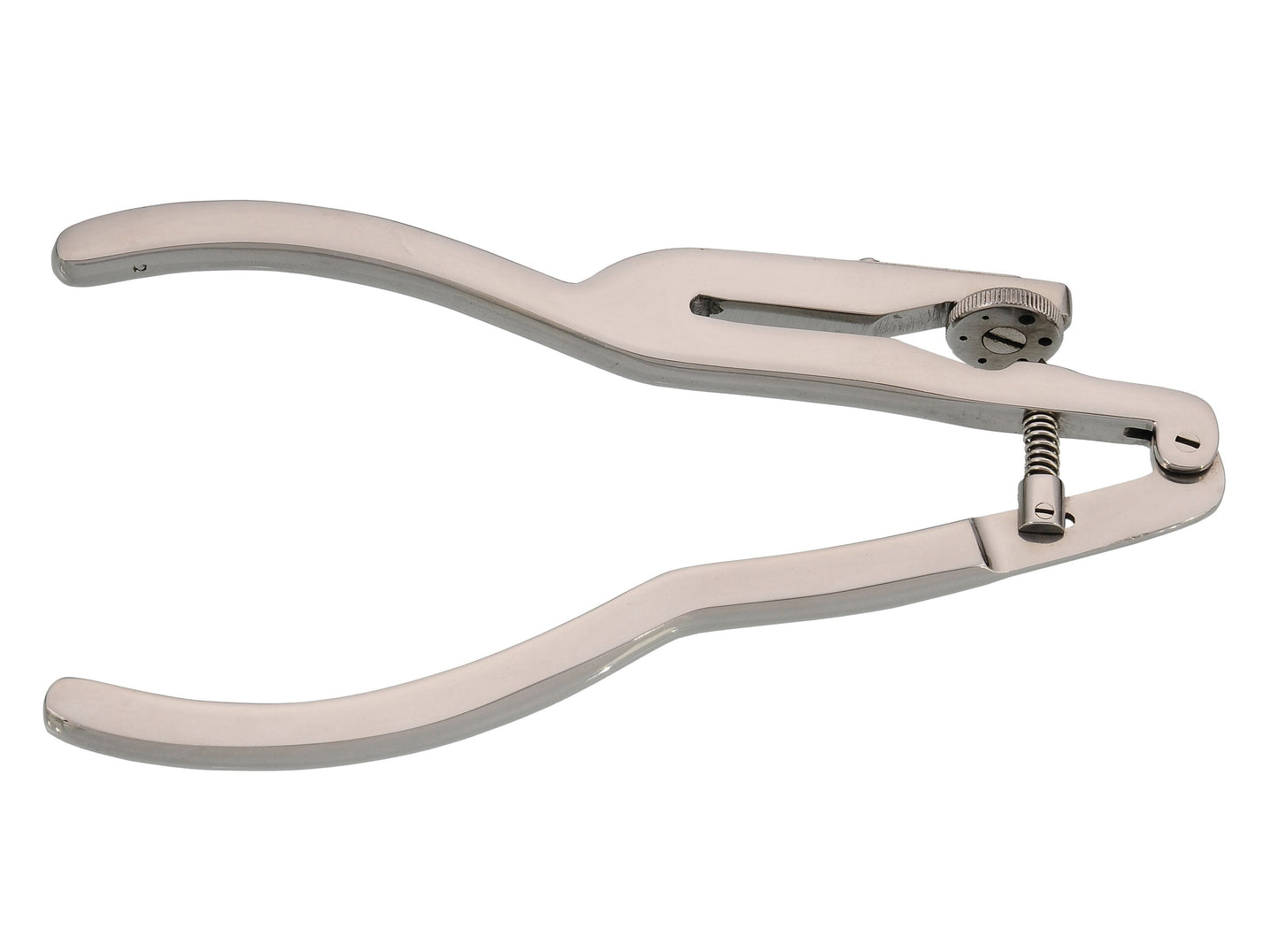 Ivory Punch 17cm