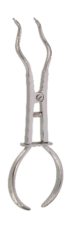 Forcep Brewer Clamp 17.5cm