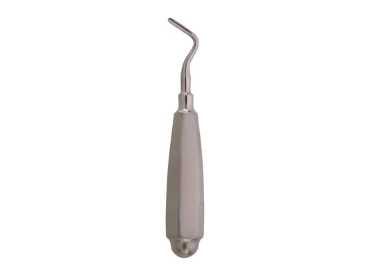 Apical Right