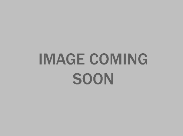 Foam Bottle 375ml